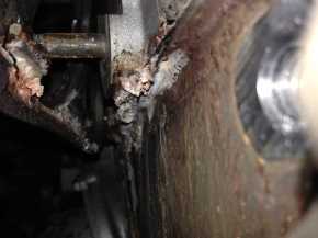 Specialized Modifications